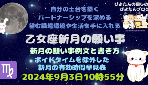 乙女座新月の願い事例文