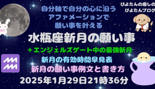 2025年水瓶座新月の願い事例文と書き方 エンジェルズゲート