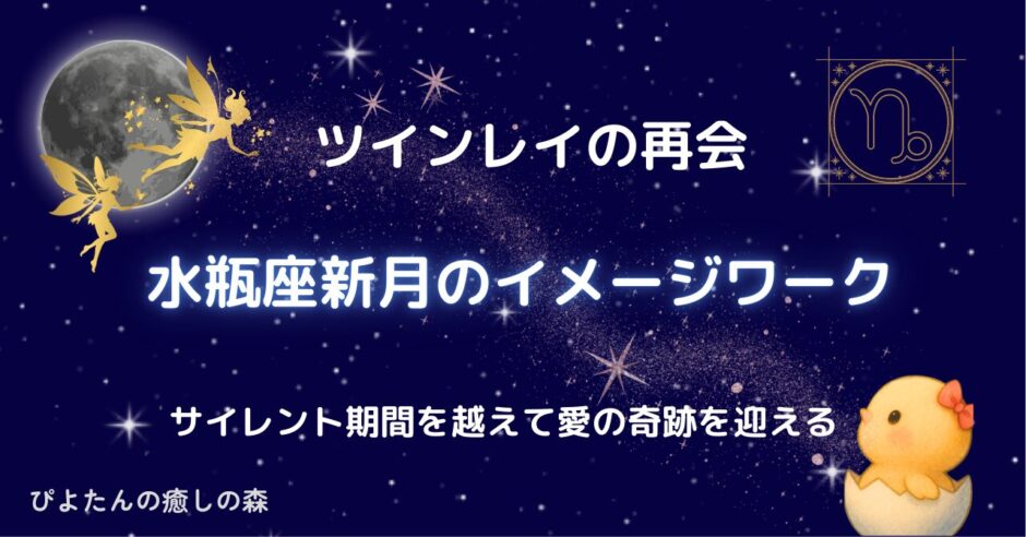 【ツインレイの再会】水瓶座新月のイメージワーク